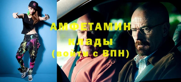 молекула духа Богородицк
