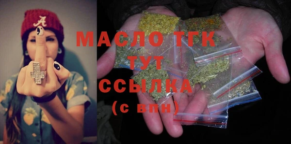молекула духа Богородицк