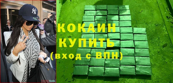 молекула духа Богородицк