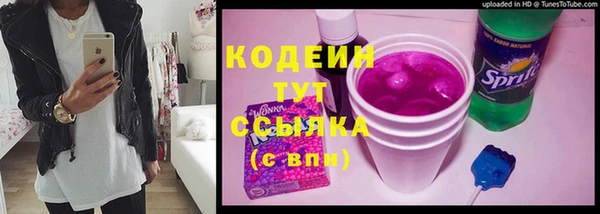 молекула духа Богородицк