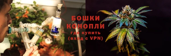молекула духа Богородицк