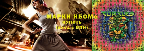молекула духа Богородицк