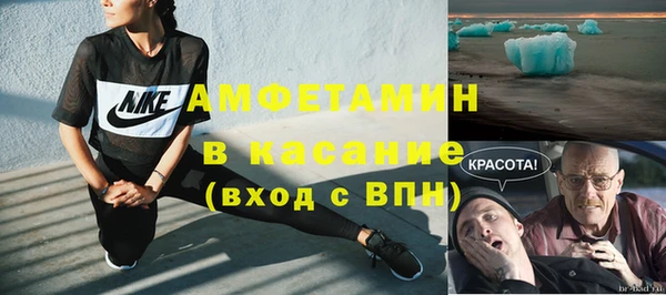 молекула духа Богородицк