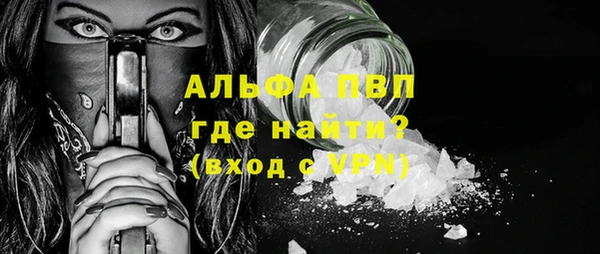 молекула духа Богородицк