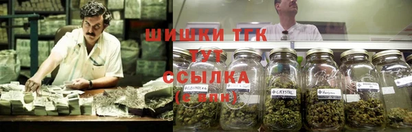 молекула духа Михайлов