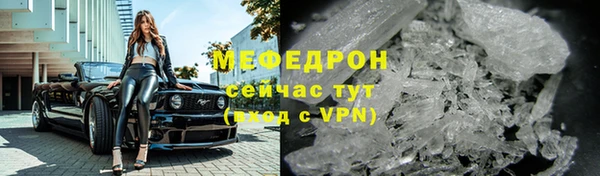 молекула духа Богородицк