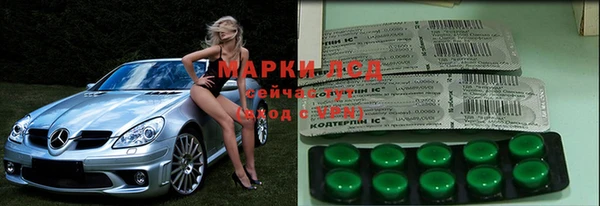 бошки Богданович
