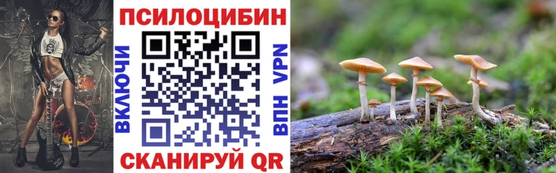 Псилоцибиновые грибы Cubensis  Дорогобуж 